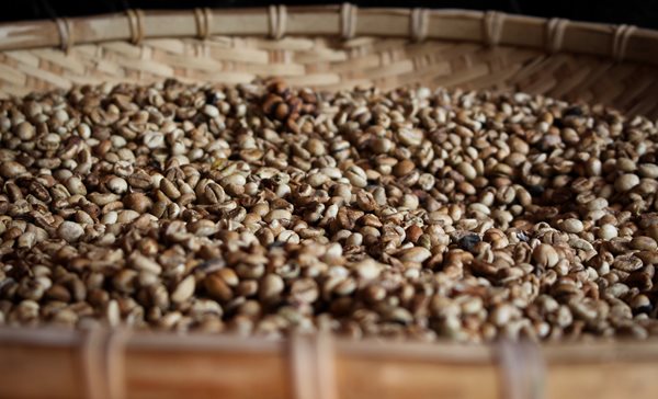 Vietnam and Colombia to collaborate on coffee-based tourism - World ...